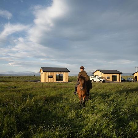 Sleeping With The Horses Daire Hvolsvöllur Dış mekan fotoğraf
