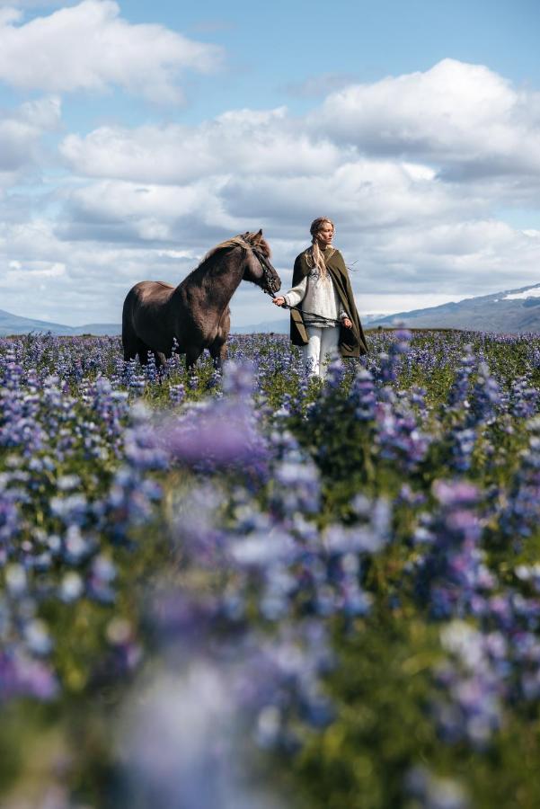 Sleeping With The Horses Daire Hvolsvöllur Dış mekan fotoğraf