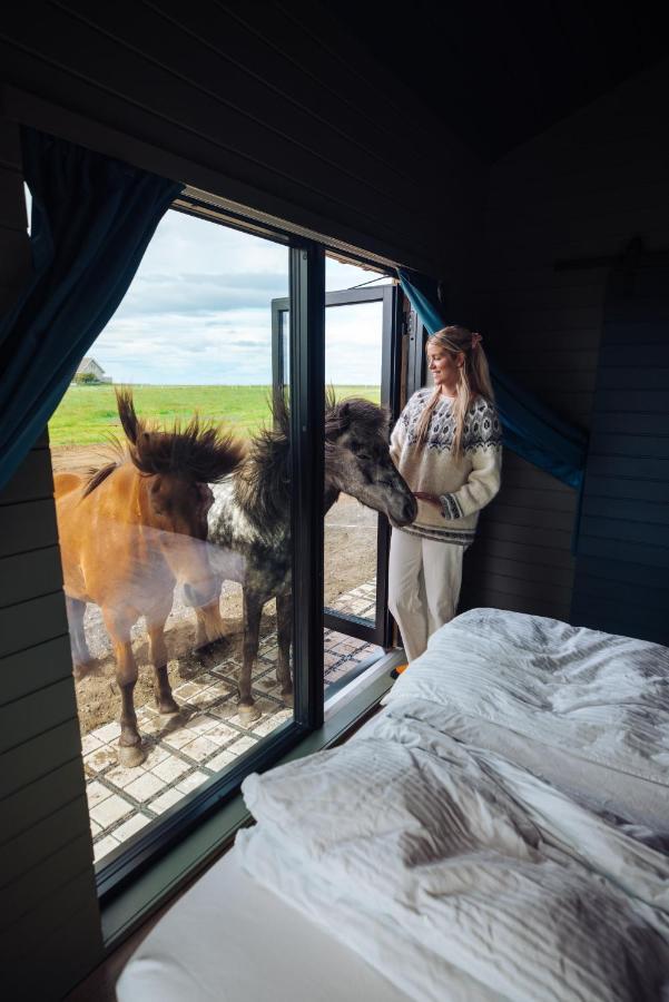 Sleeping With The Horses Daire Hvolsvöllur Dış mekan fotoğraf