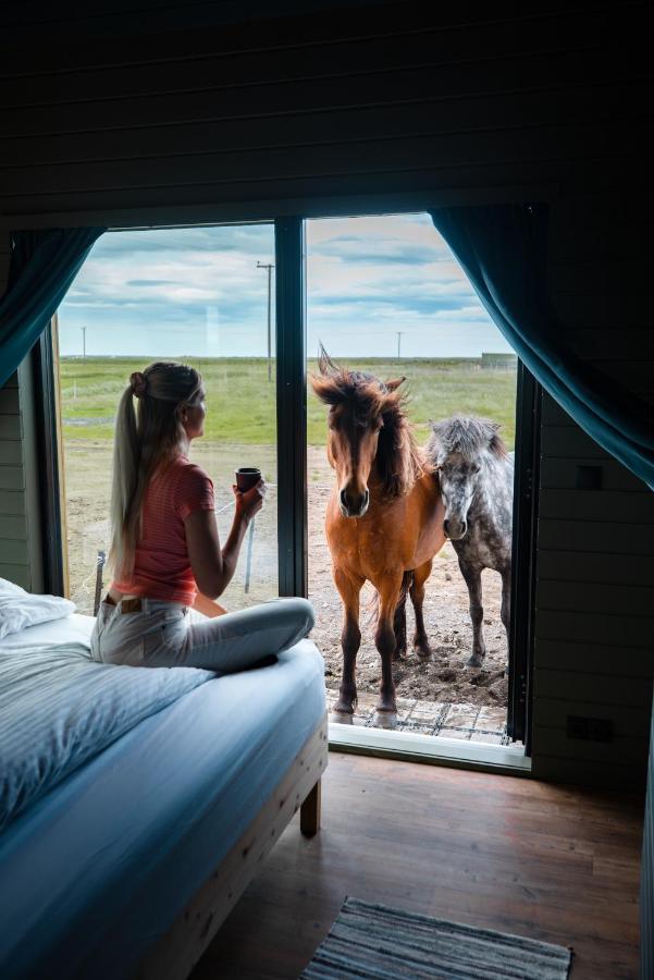 Sleeping With The Horses Daire Hvolsvöllur Dış mekan fotoğraf
