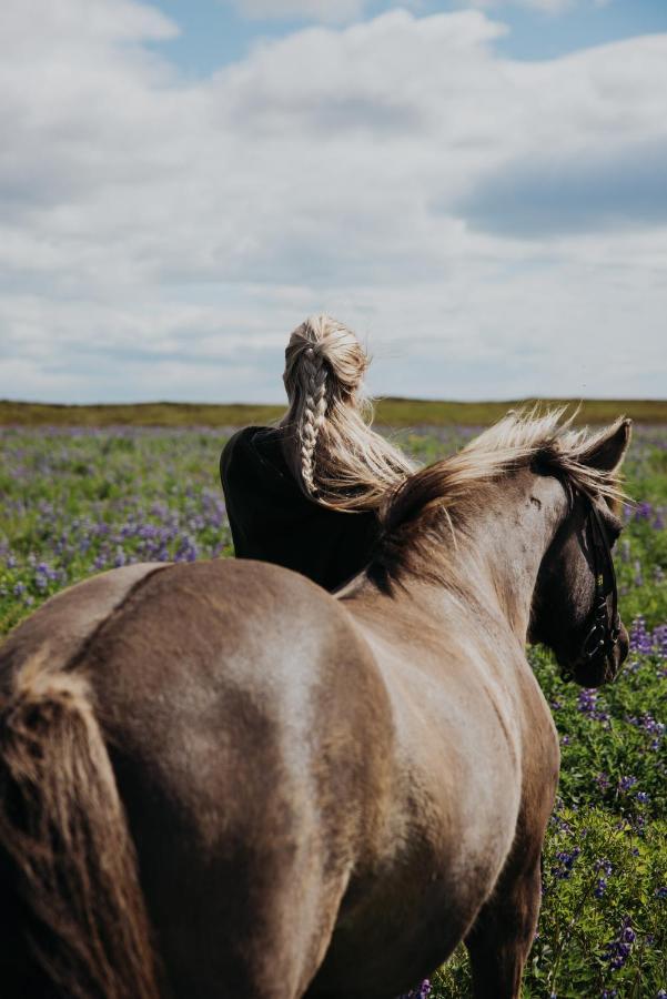 Sleeping With The Horses Daire Hvolsvöllur Dış mekan fotoğraf