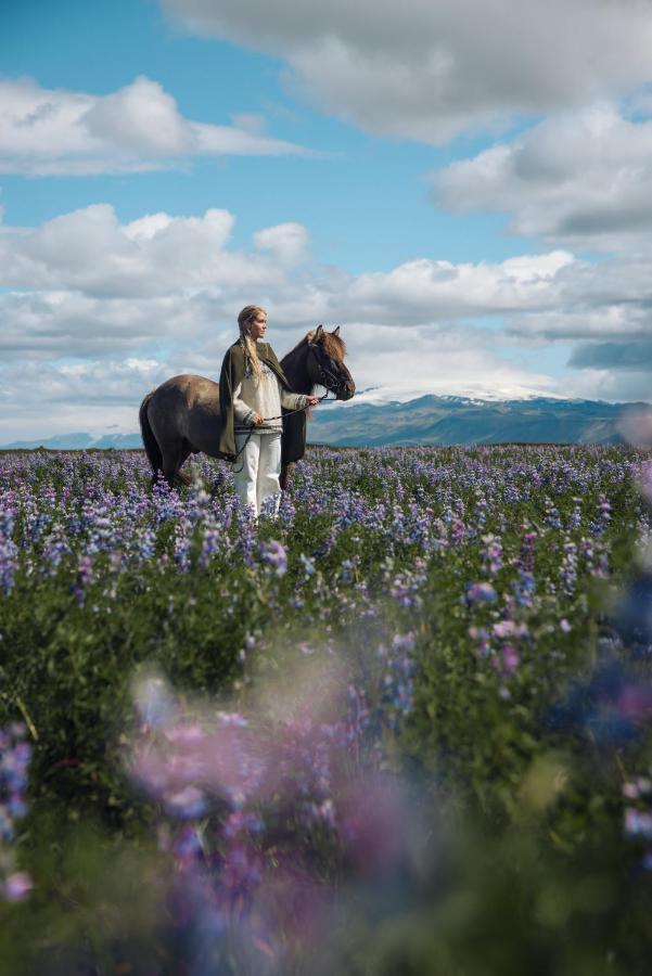 Sleeping With The Horses Daire Hvolsvöllur Dış mekan fotoğraf
