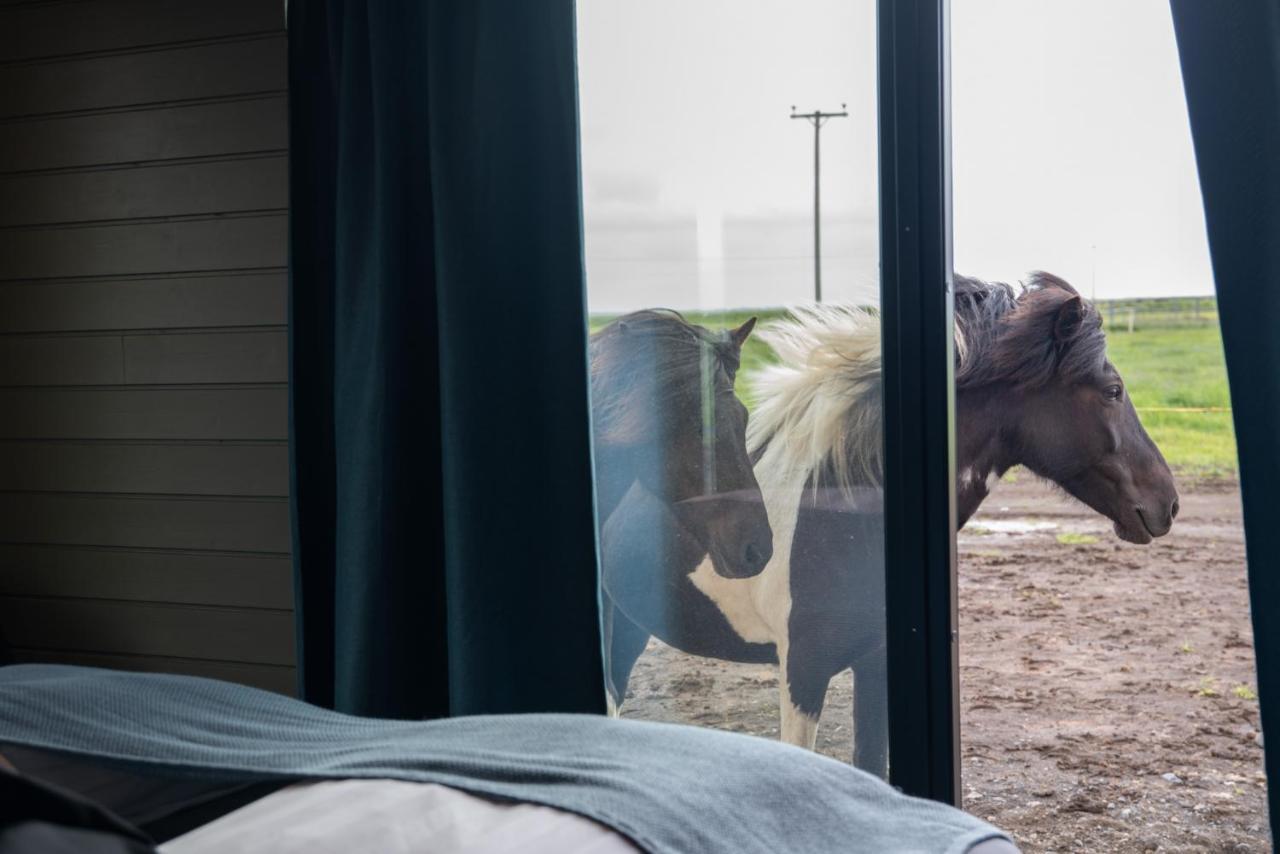 Sleeping With The Horses Daire Hvolsvöllur Dış mekan fotoğraf