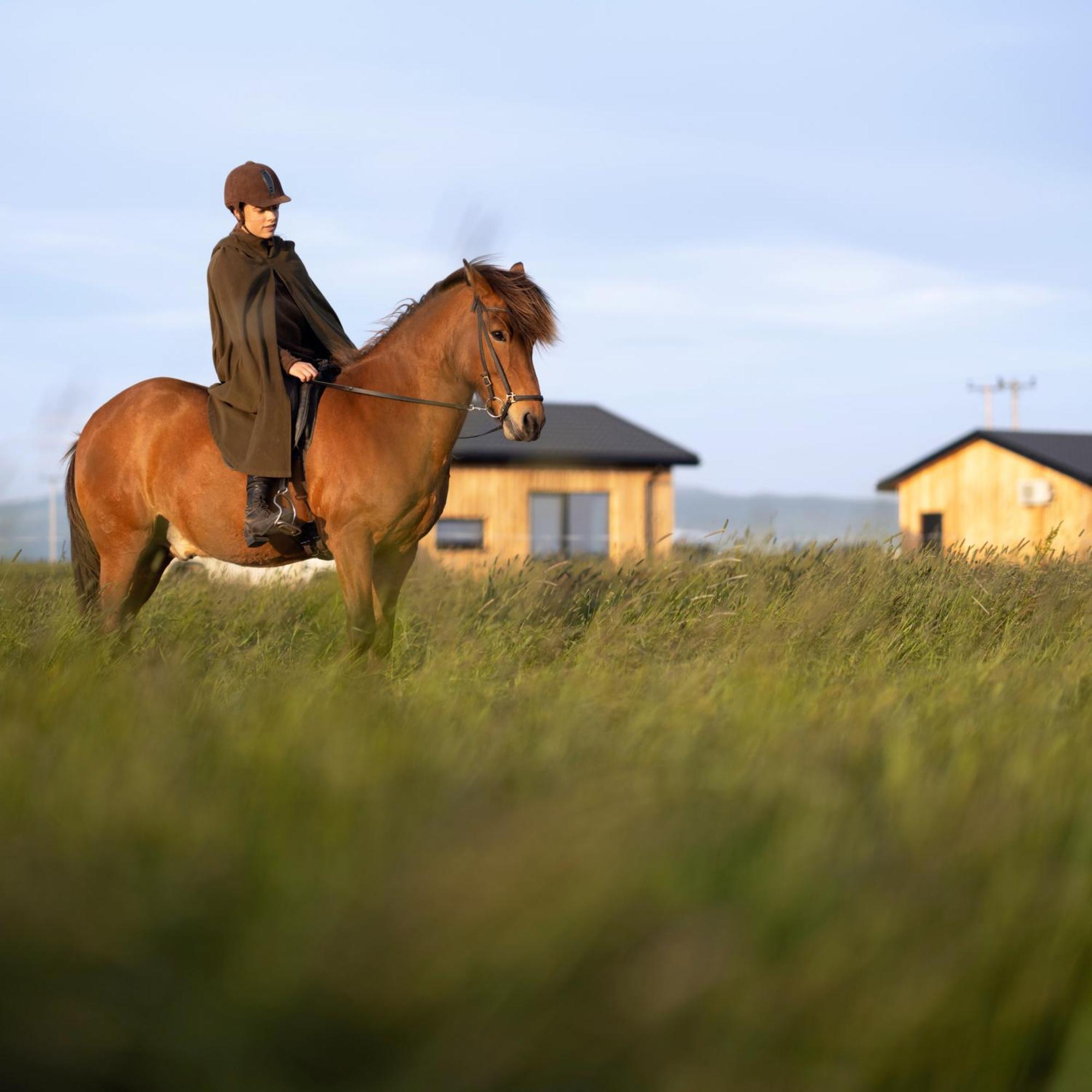 Sleeping With The Horses Daire Hvolsvöllur Dış mekan fotoğraf