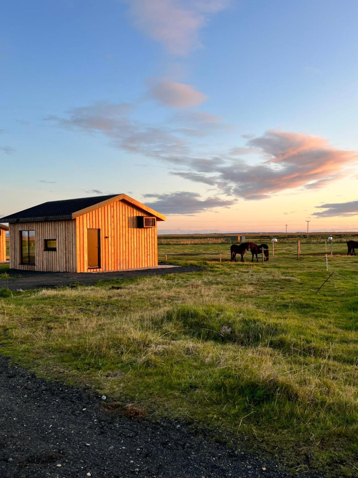 Sleeping With The Horses Daire Hvolsvöllur Dış mekan fotoğraf