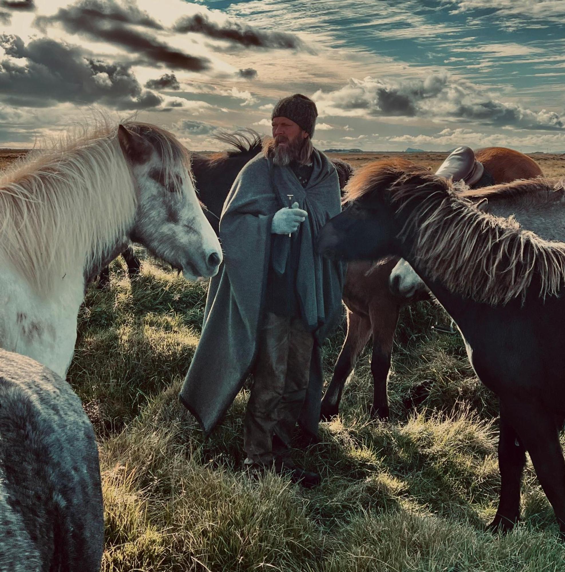 Sleeping With The Horses Daire Hvolsvöllur Dış mekan fotoğraf