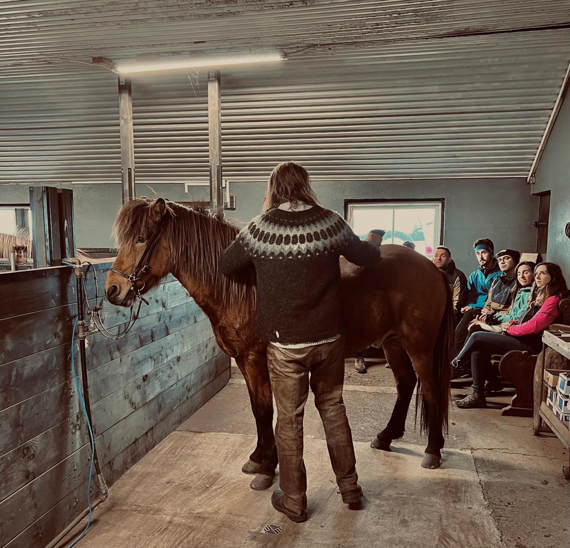 Sleeping With The Horses Daire Hvolsvöllur Dış mekan fotoğraf