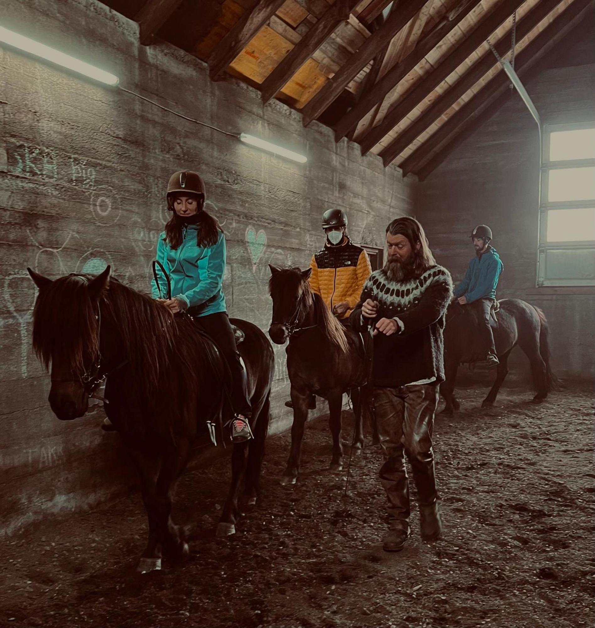 Sleeping With The Horses Daire Hvolsvöllur Dış mekan fotoğraf